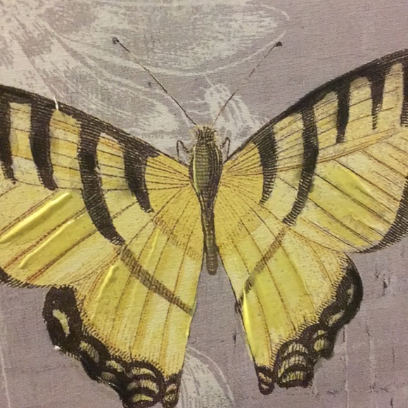 Meet your Posher, Liliana - Picture 1 of 1